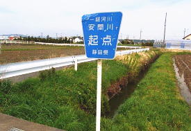 日々是好日 ２０１３年３月 ４月 管理人のページ ２０１３年１月 ２月のページへ 13年4月28日 日 足元の花 瀬尻の杉展示林に出かけました足元に 米粒を散らしたように咲くミツバコンロンカを見つけました尾根の上では 岩にビッシリト根を